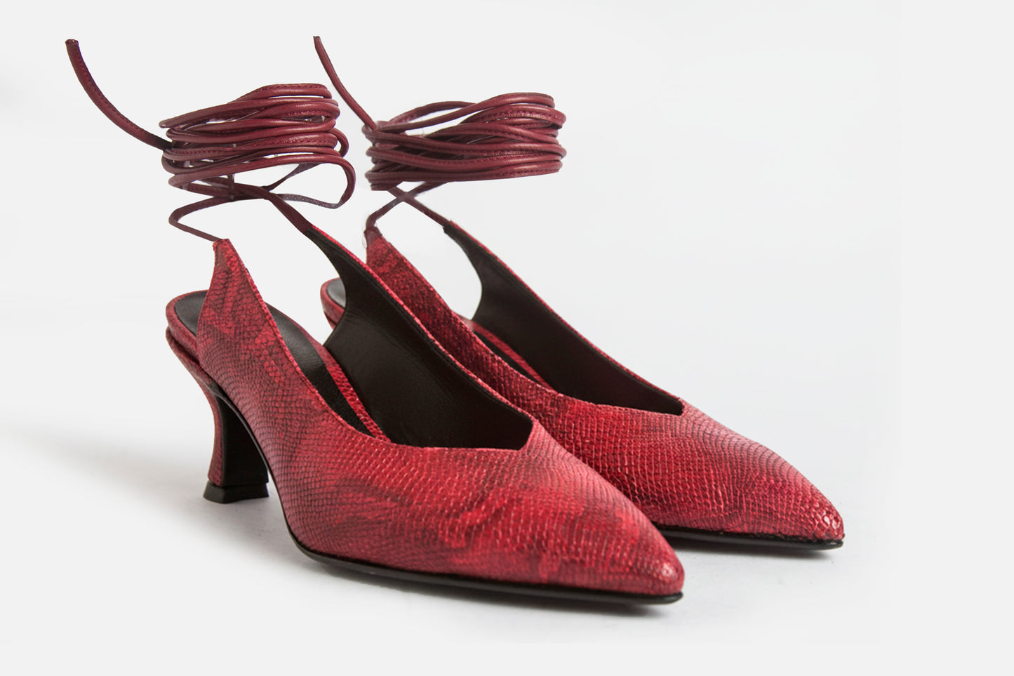 Harry Iguanita Cherry