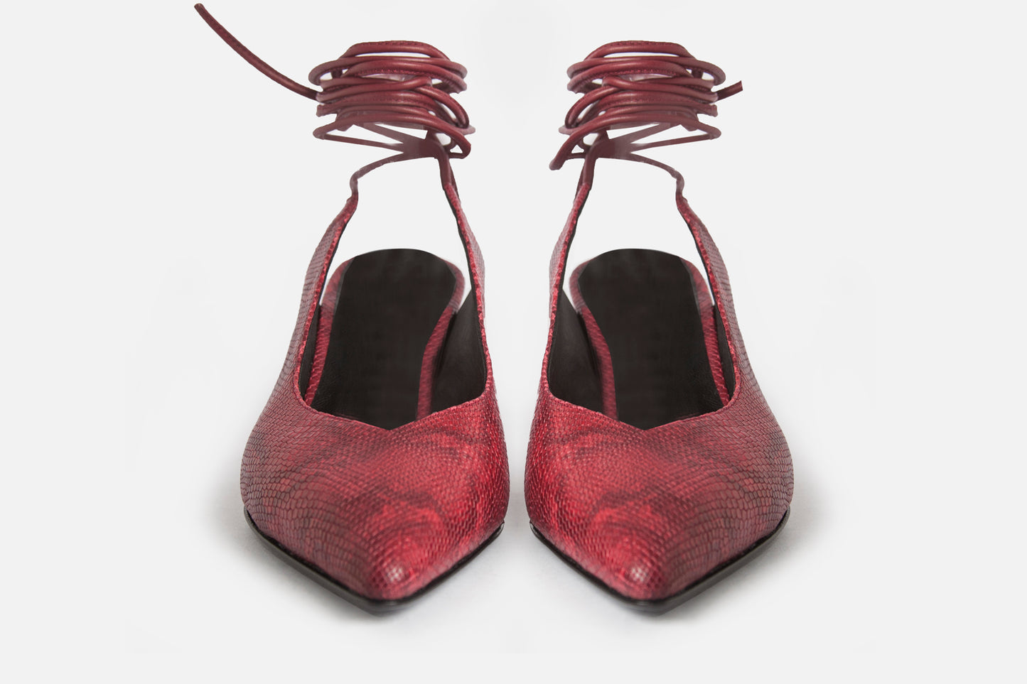 Harry Iguanita Cherry