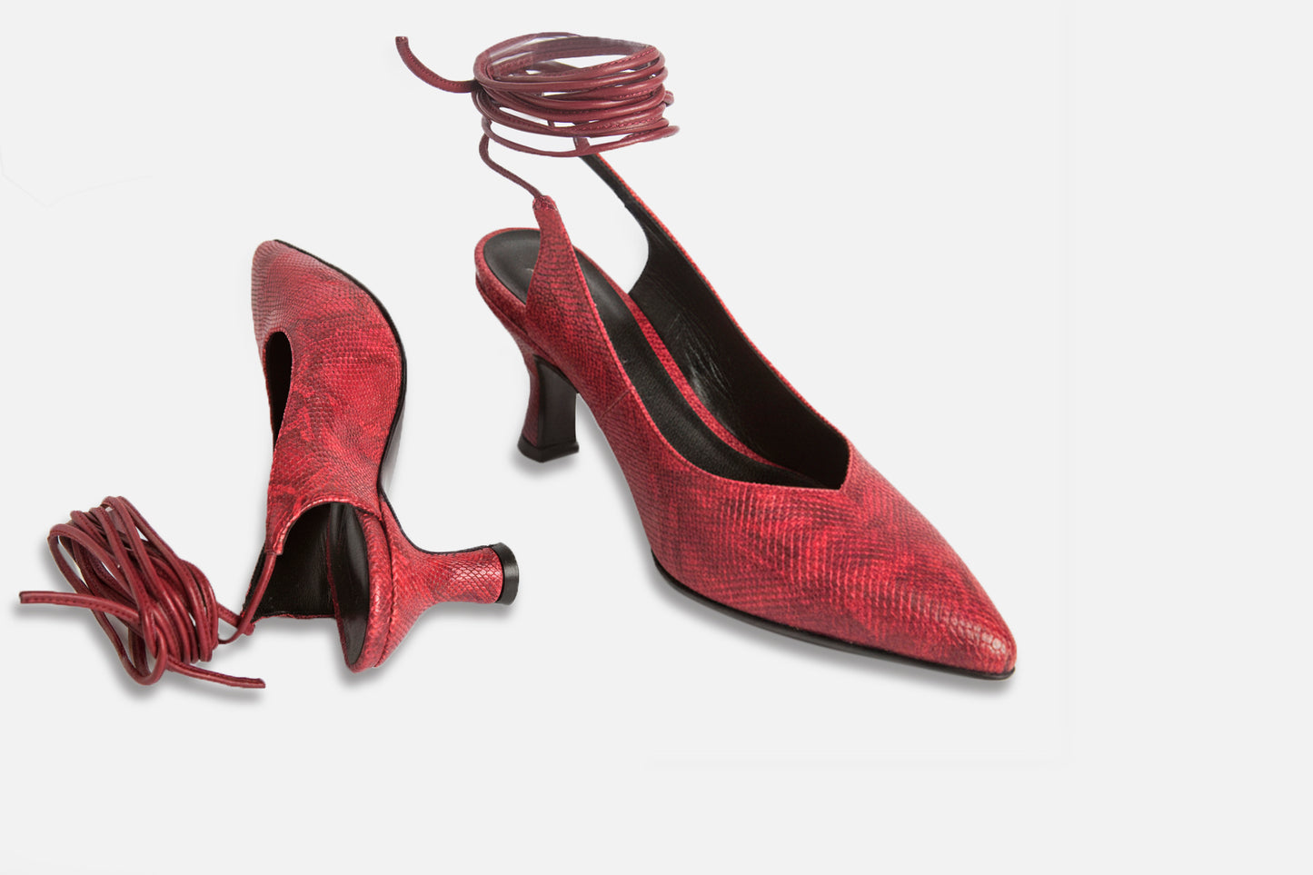 Harry Iguanita Cherry