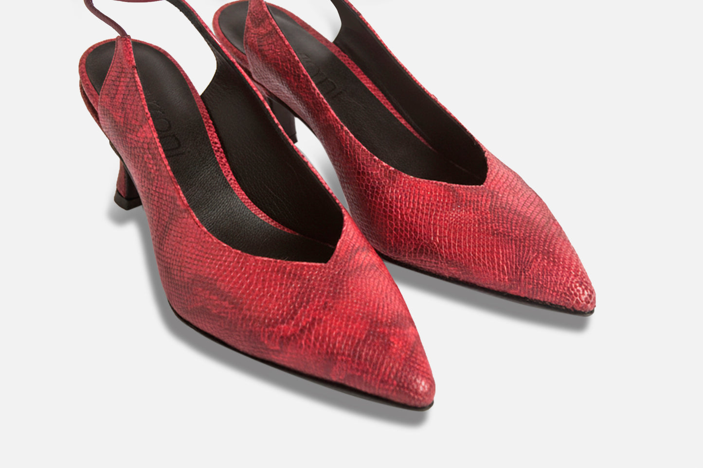 Harry Iguanita Cherry